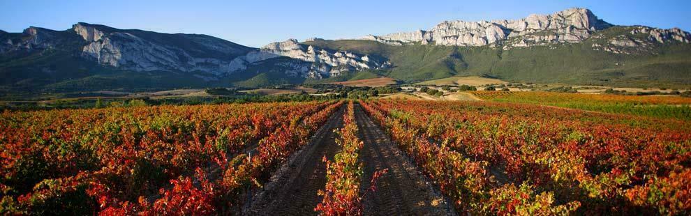 a_rioja-alaves-a