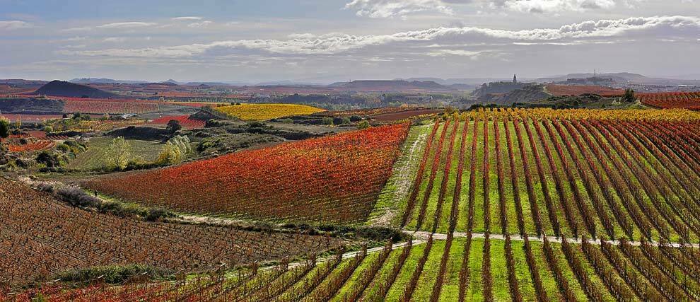 la-rioja-alta